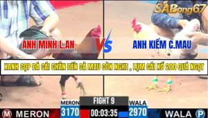 TRẬN 9 C3 25/05/2025