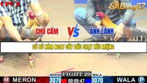 TRẬN 29 C2 11/6/2025