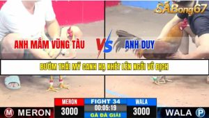 TRẬN 34 C3 11/6/2025