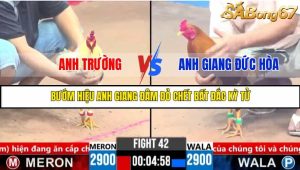 TRẬN 42 C3 11/6/2025