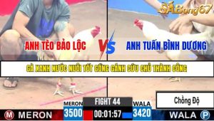 TRẬN 44 C3 11/6/2025