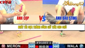 TRẬN 1 C2 6/6/2025