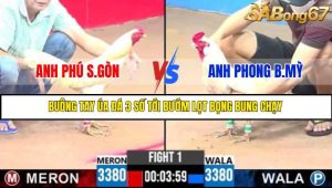 TRẬN 1 CPC3 1/6/2025
