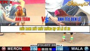 TRẬN 10 C2 1/6/2025