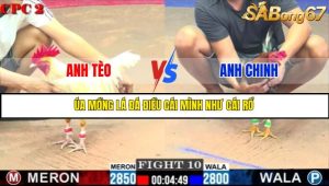 TRẬN 10 C2 3/6/2025