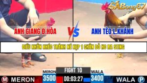 TRẬN 10 C3 3/6/2025