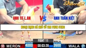 TRẬN 11 C3 2/6/2025