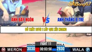 TRẬN 11 C3 5/6/2025