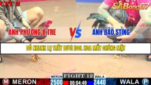 TRẬN 12 C2 6/6/2025