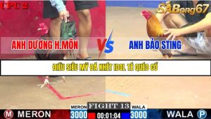 TRẬN 13 C2 6/6/2025