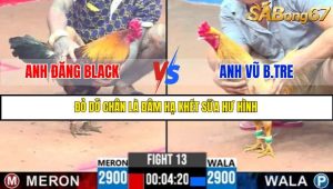 TRẬN 13 C3 6/6/2025