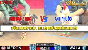 TRẬN 14 C2 1/6/2025