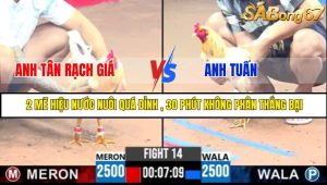 TRẬN 14 C3 5/6/2025
