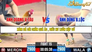 TRẬN 15 C3 3/6/2025