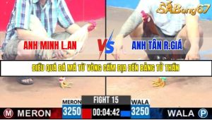 TRẬN 15 C3 5/6/2025