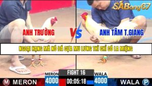TRẬN 16 C3 3/6/2025