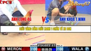 TRẬN 17 C2 6/6/2025