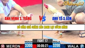 TRẬN 17 C3 3/6/2025
