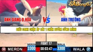 TRẬN 17 C3 7/6/2025