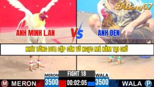 TRẬN 18 C3 4/6/2025