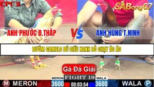 TRẬN 19 C2 1/6/2025