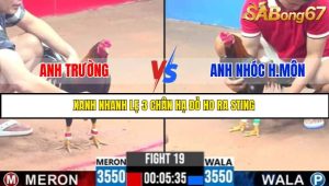 TRẬN 19 C3 5/6/2025