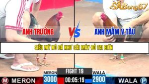 TRẬN 19 C3 6/6/2025
