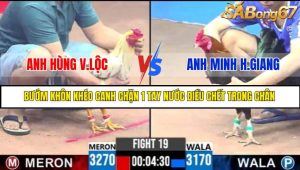 TRẬN 19 C3 7/6/2025