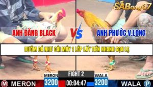 TRẬN 2 C3 6/6/2025