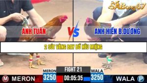 TRẬN 21 C3 4/6/2025
