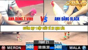 TRẬN 21 C3 6/6/2025