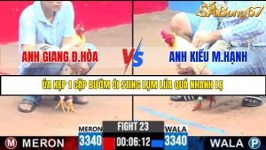 TRẬN 23 C3 5/6/2025