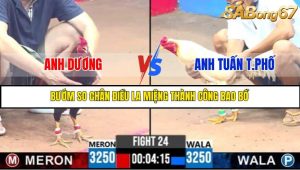 TRẬN 24 C3 3/6/2025