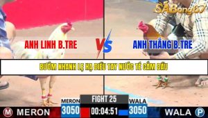 TRẬN 25 C3 3/6/2025