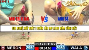 TRẬN 27 C1 3/6/2025