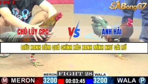 TRẬN 28 C1 7/6/2025