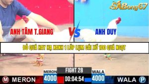 TRẬN 28 C3 3/6/2025