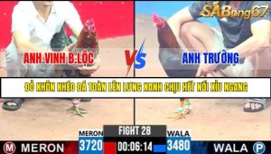 TRẬN 28 C3 4/6/2025