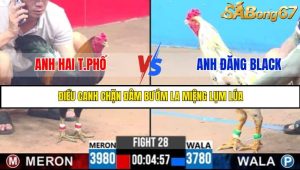 TRẬN 28 C3 6/6/2025