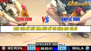 TRẬN 29 C1 5/6/2025