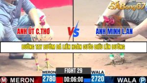 TRẬN 29 C3 2/6/2025