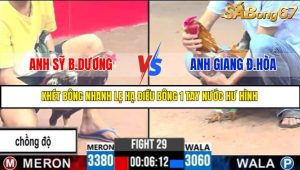 TRẬN 29 C3 5/6/2025