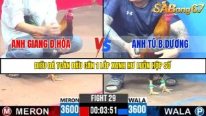 TRẬN 29 C3 7/6/2025