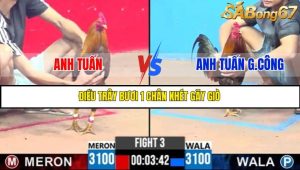 TRẬN 3 C3 3/6/2025