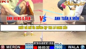 TRẬN 31 C1 5/6/2025