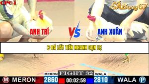 TRẬN 32 C1 7/6/2025