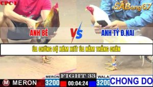 TRẬN 33 C1 3/6/2025