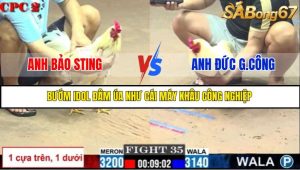 TRẬN 35 C2 6/6/2025