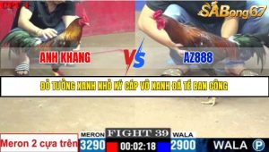 TRẬN 39 C1 5/6/2025