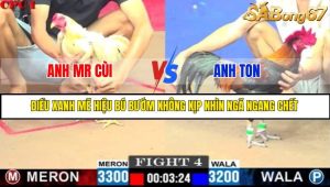 TRẬN 4 C1 7/6/2025
